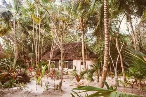 Hotel Esencial Tulum