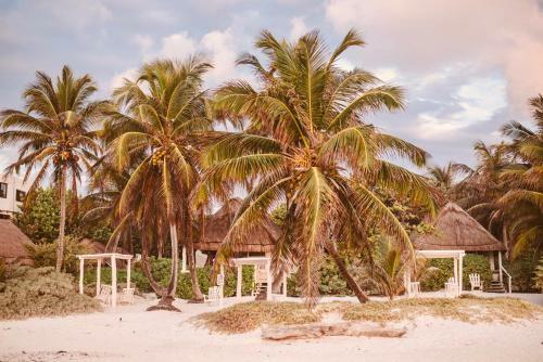 Hotel Esencial Tulum