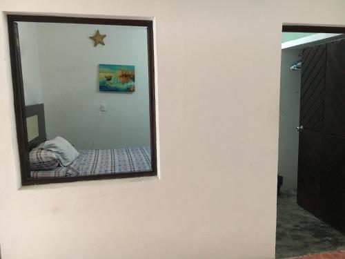 Anfibio�s House