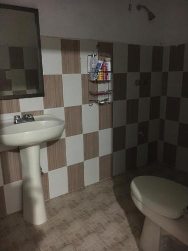 Anfibio�s House