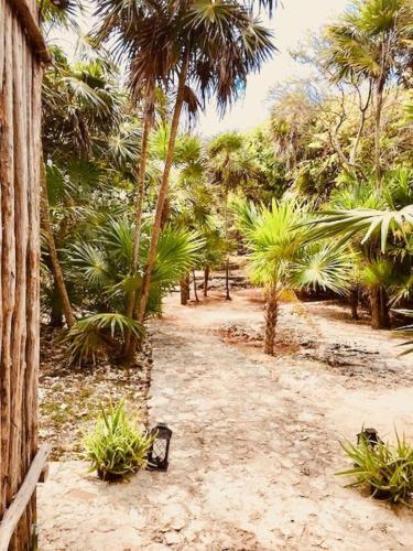Villa Casa Emily-tulum Beach House!