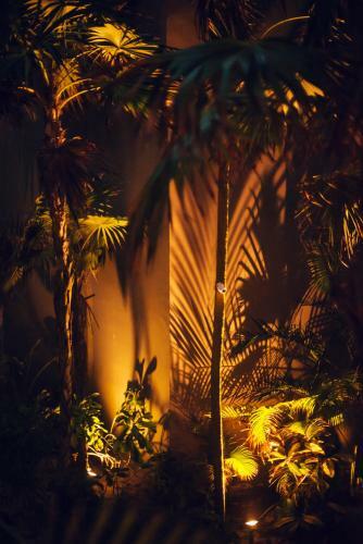 Hotel Tribal Tulum