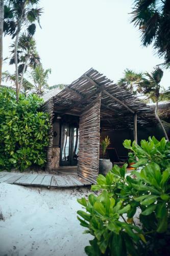 Hotel Tribal Tulum