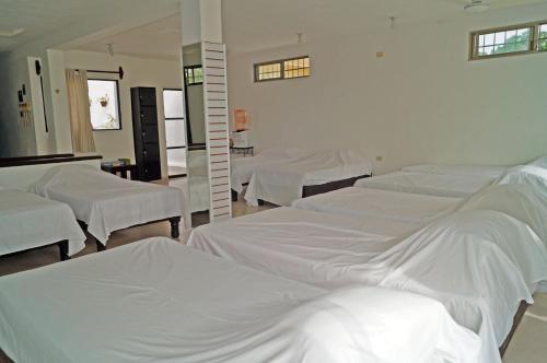 Albergue Hostal Frida