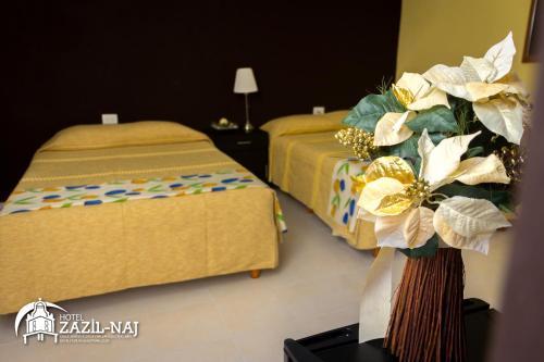 Hotel Zazil-naj