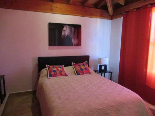 Agroturismo Little Nest En Rancho El Rossinyol