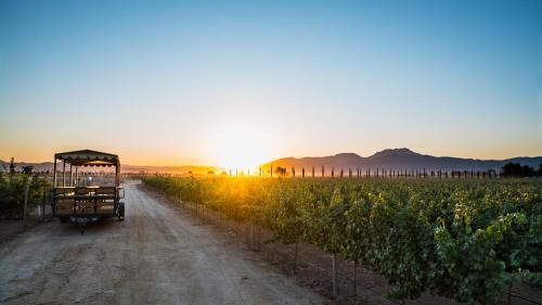 Hotel El Cielo Winery & Resort, By Karisma