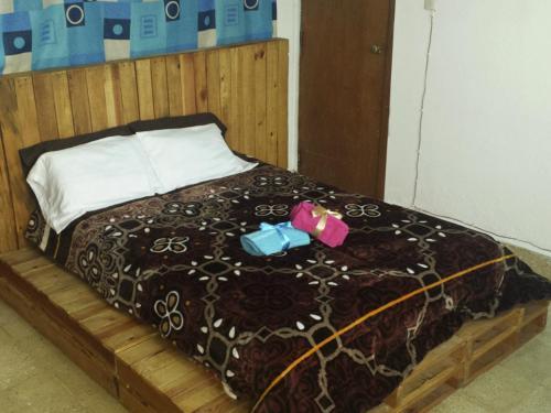 Hostel 53