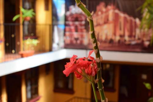Hotel Tradicional