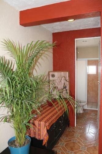 Apartamento Hotel Las Fumarolas De Don Goyo Cholula