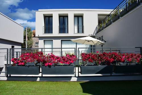Hilo Rojo Hotel Boutique