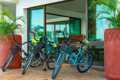 Hotel Rio Lagartos