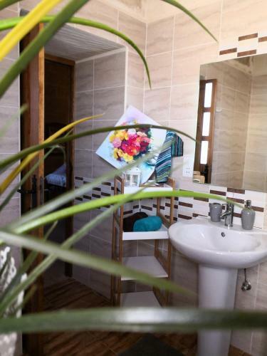Bed & Breakfast Lanterne Bianche