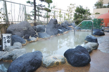 Spa & Hotel Maihama Eurasia