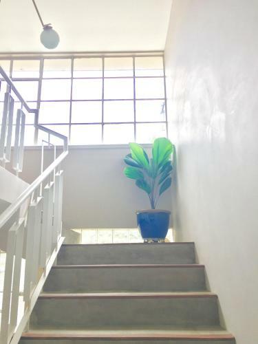 Bed & Breakfast Casa Lelyte