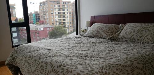 Apartamento Chico 501