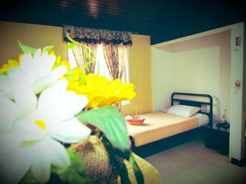 Hostal Como En Casa