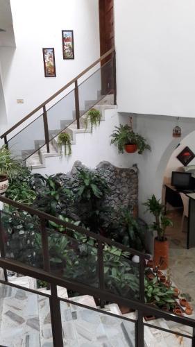 Hostal Hospedaje La Flor Del Ingenio