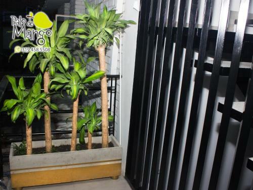 Hostal 338 Home Hosting