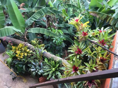 Alojamiento Rural Getseman� Pichind�