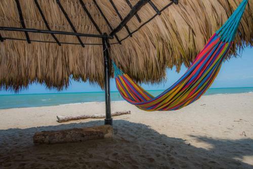 Caba�a Cove�itas