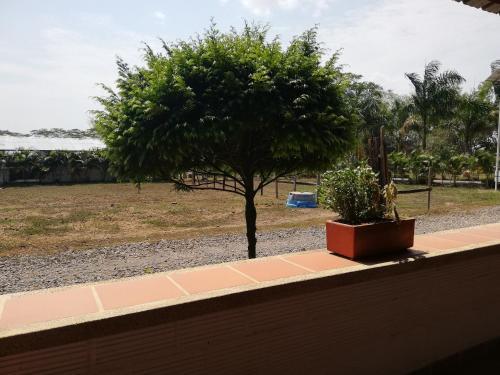 Agroturismo Pesebreras Pinto