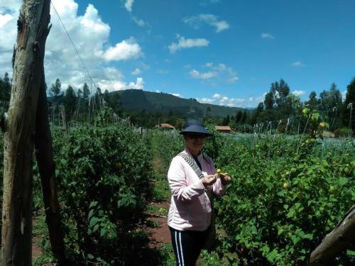 Agroturismo Mi Casa, Tu Casa-hostal