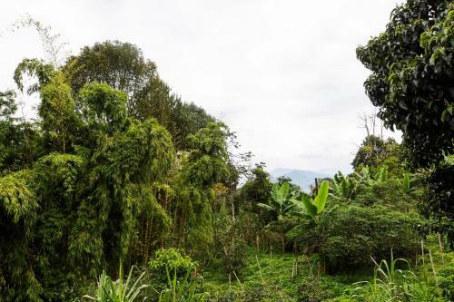 Agroturismo Eco Casa Raices