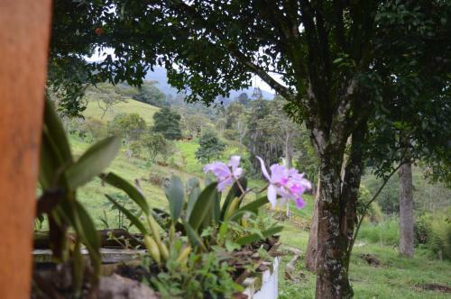 Agroturismo Eco Casa Raices