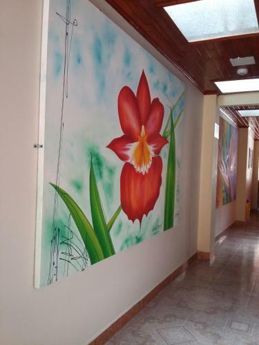 Hostal Find Land & A Rest