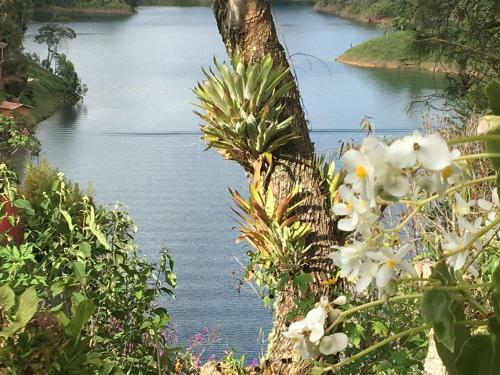 Hotel Ecolodge Bahia Del Pe��n