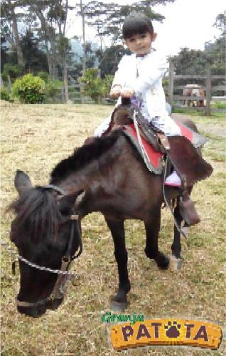 Agroturismo Granja Patota
