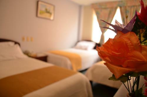 Hotel Los Andes