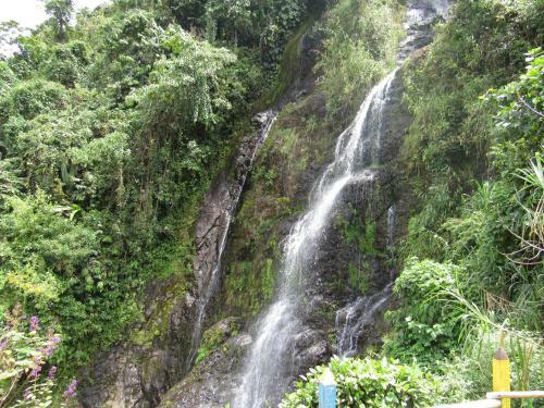 La Escalera Jardin Antioquia