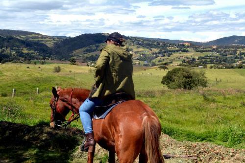 Finca Tymon