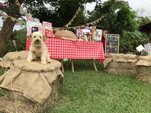 Agroturismo Hospedaje Rural La Caba�a