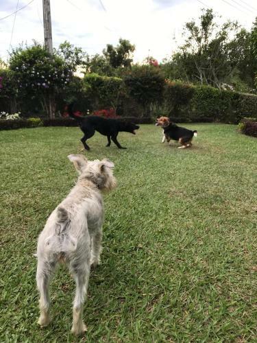 Agroturismo Hospedaje Rural La Caba�a