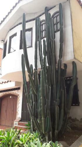 Hostal Calibr�, La Casa Libre Del R�o