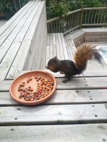 Hostal Alma Viva Finca Hotel