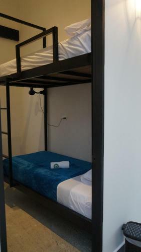 Hostal Nativo Hostel