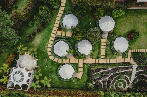 Hotel Teva Glamping & Retreat