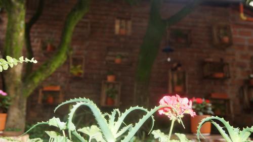 Hostal El Jard�n De La 10