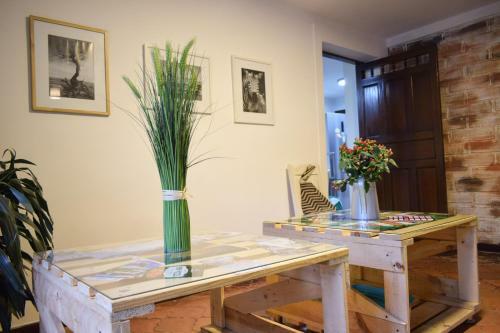 Cocoa Hostel