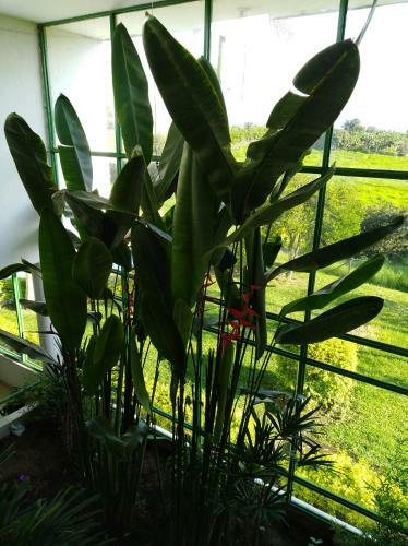 Hotel Campestre Villa Quindio