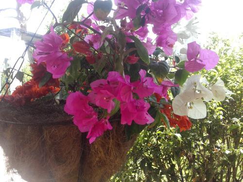 Hotel Campestre Los Naranjos
