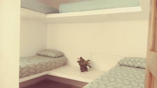 Apartasuite Las Palmas De La Marquesa