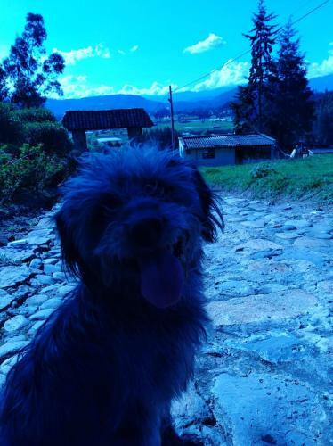 Lodge Caba�as El Rinc�n De Las Campanas