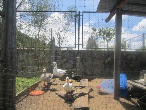 Apartamento Hospedaje Granja La Libertad