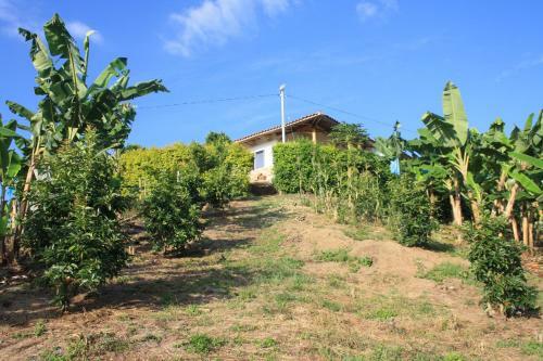 Bed & Breakfast Ecolodge Altos De La Ermita