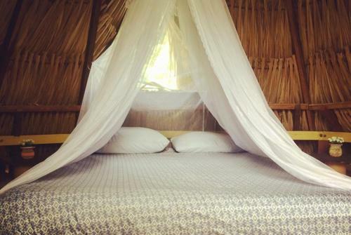 Albergue El Arbol Ecolodges